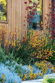 Garden mistakes